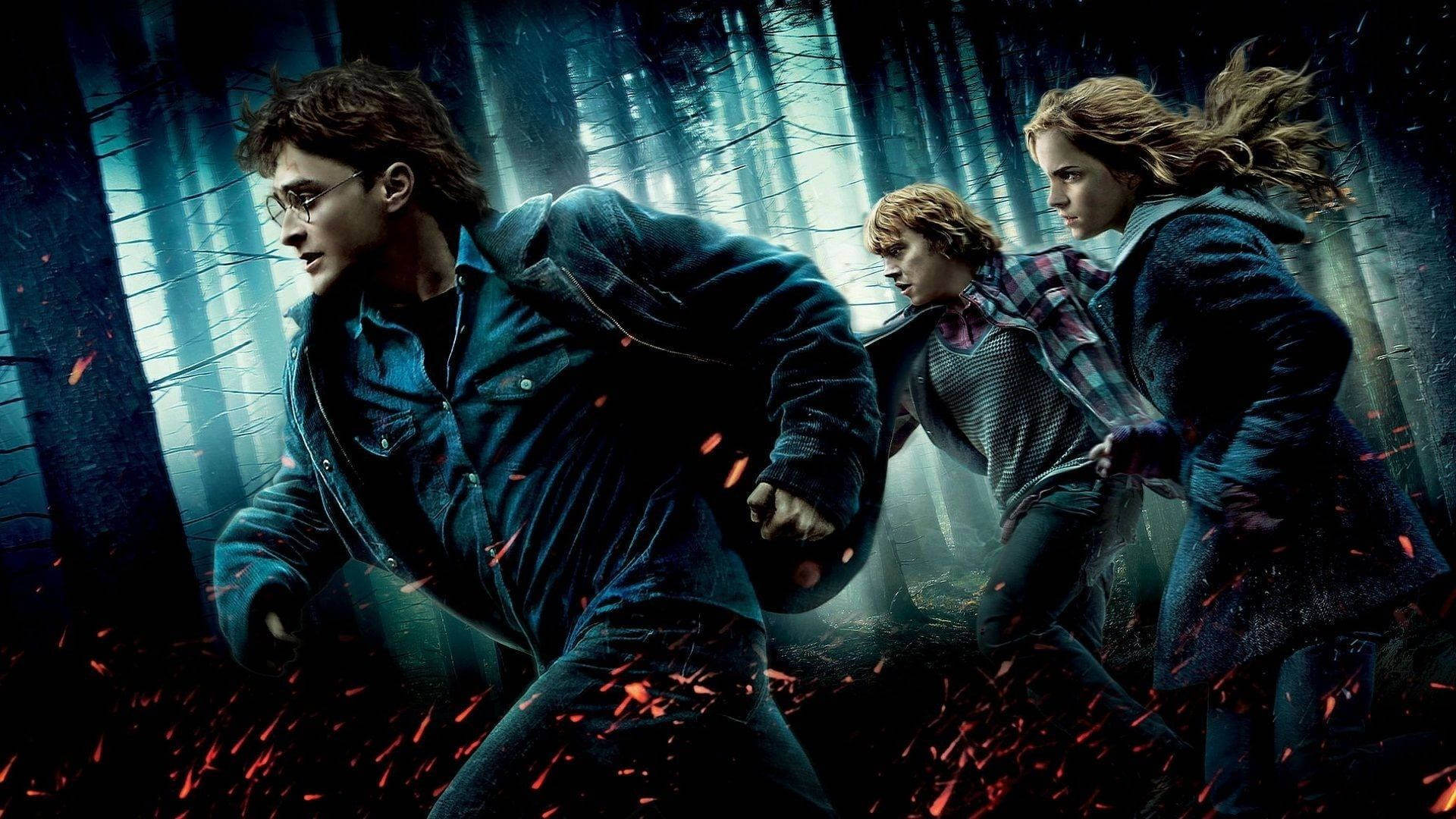 Κατηγορία #harrypotter - DeckRush